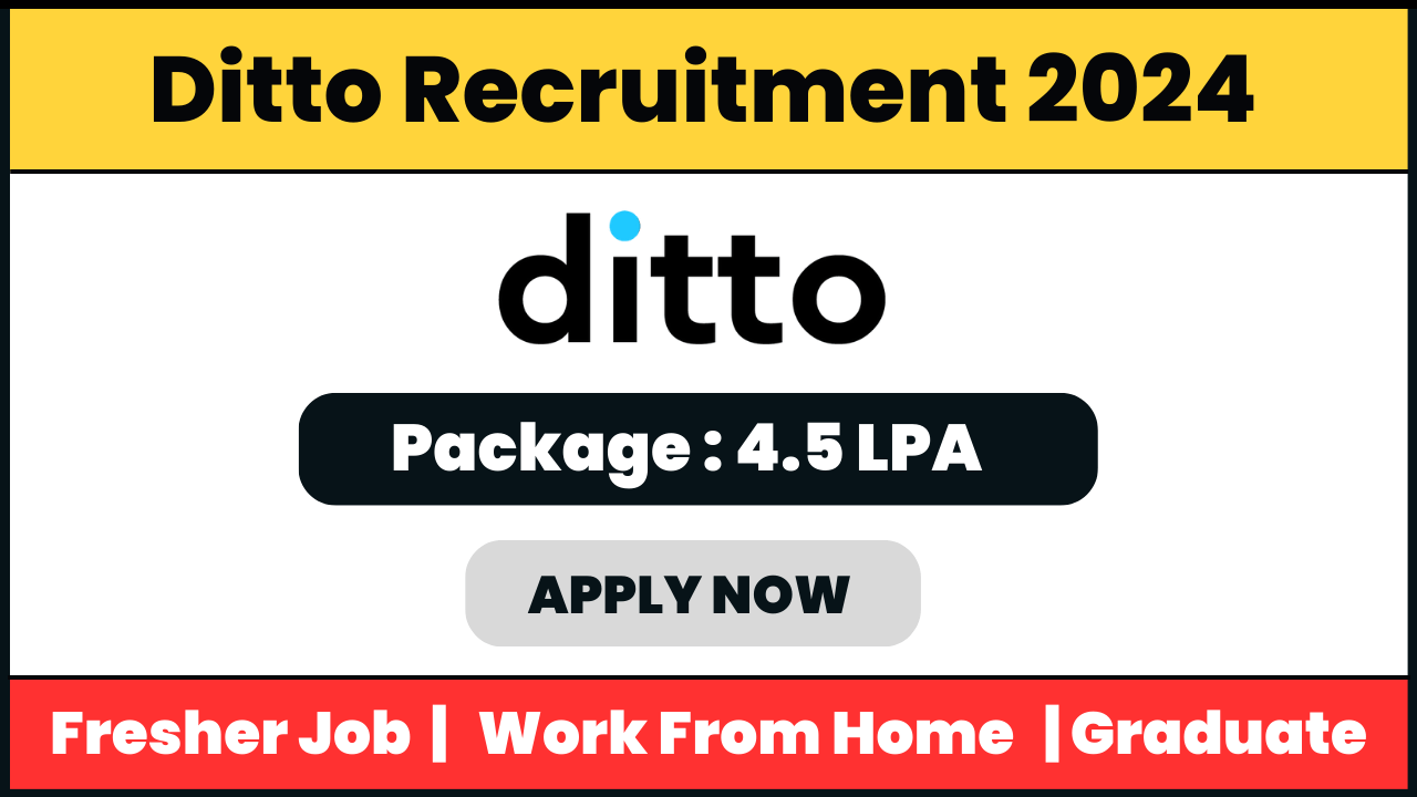 Ditto Recruitment 2024: Insurance Advisor