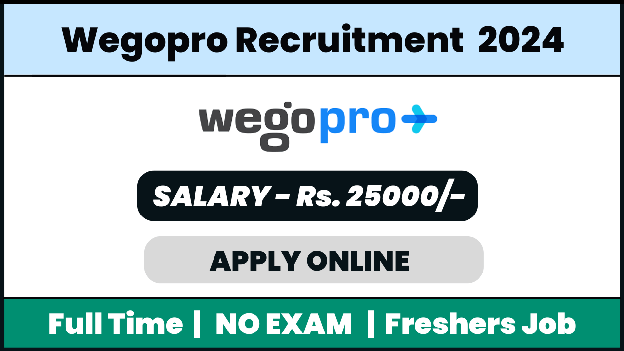 WegoPro Recruitment 2024: Customer Support Specialist