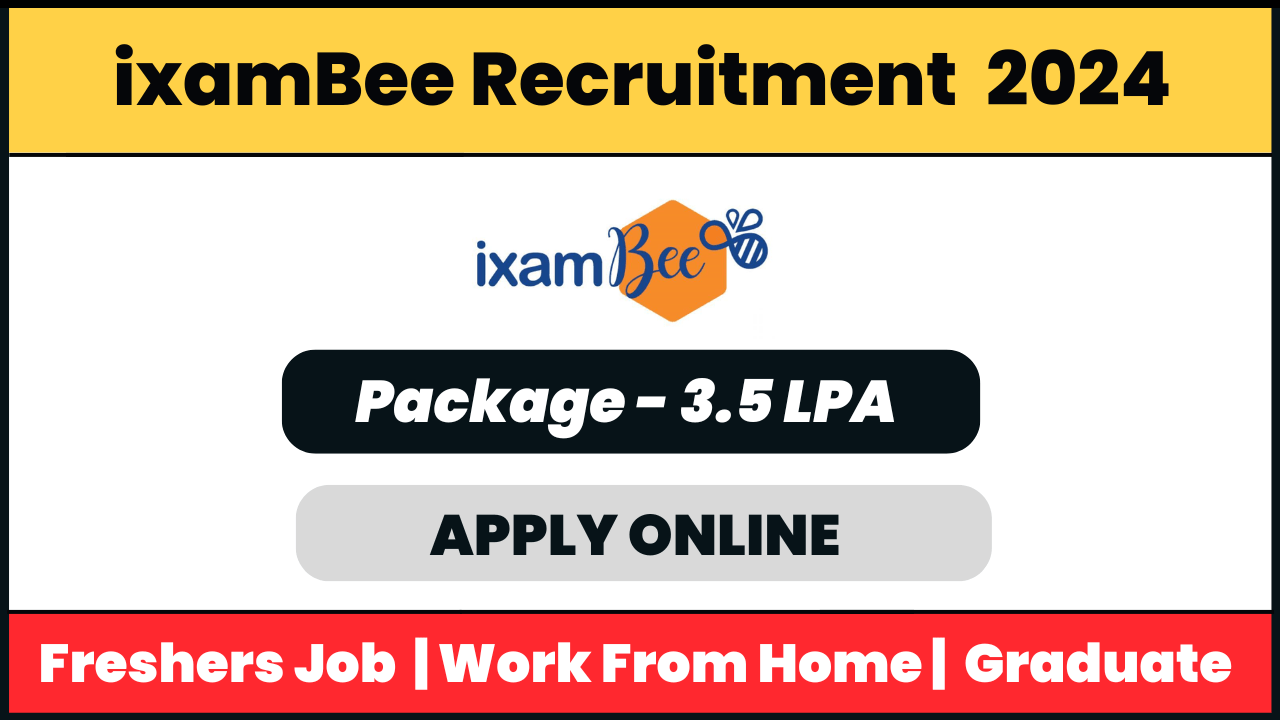 IxamBee Recruitment 2024: Senior Executive/Assistant Manager