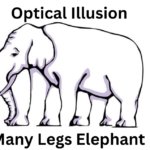 How Many Legs Elephant have